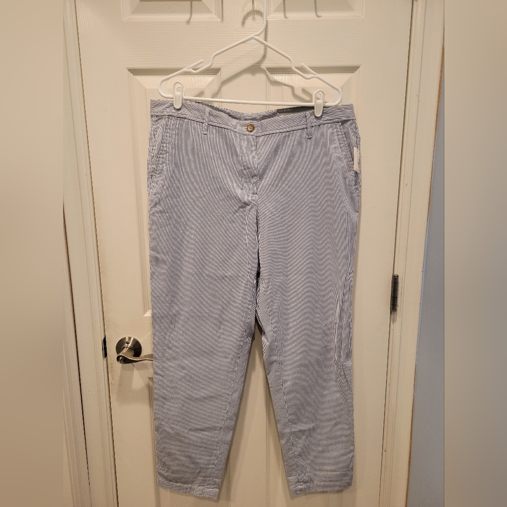 Talbots Women's Light Blue Striped Girlfriend Chino Ankle-Length Pants